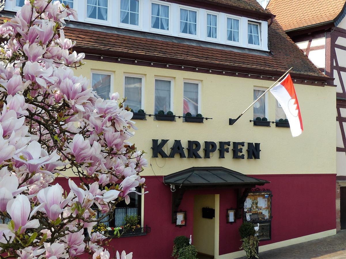 Hotel & Restaurant Zum Karpfen Obernburg am Main Zewnętrze zdjęcie